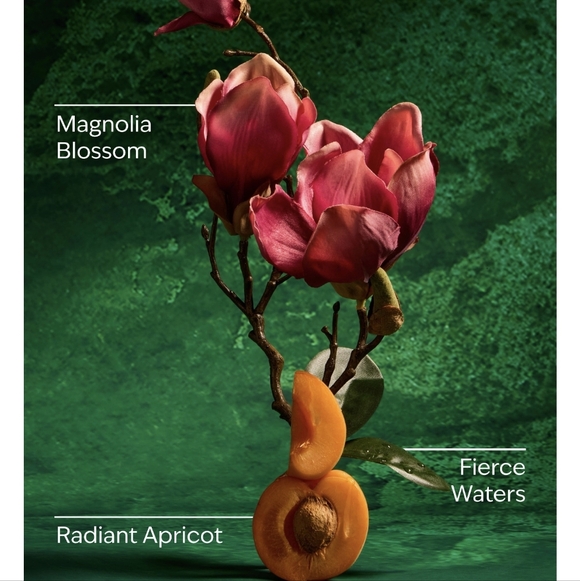 👑👗🤲NWT‼️ Bath & Body Works Disney Snow White Basket Holder with Sanitizers - Picture 8 of 16